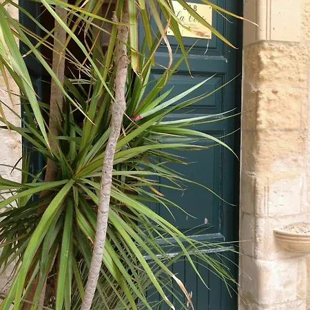 La Corte
